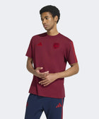 26 Arsenal DNA Tee - Soccer90