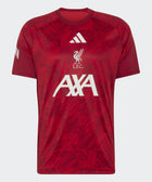 26 Liverpool Pre Match Jersey - Soccer90