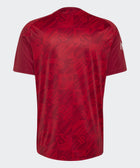 26 Liverpool Pre Match Jersey - Soccer90