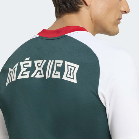 26 Mexico Pre Match Jersey - Soccer90