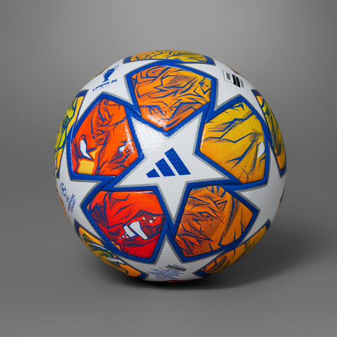 24 UEFA Champions League Pro Ball