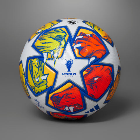 24 UEFA Champions League Pro Ball