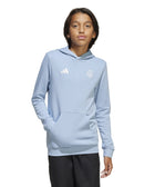 Argentina Anniversary DNA Hoodie Kids - Soccer90