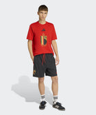 Belgium DNA Graphic T-Shirt - Soccer90