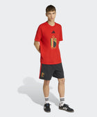 Belgium DNA Graphic T-Shirt - Soccer90