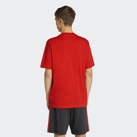 Belgium DNA Graphic T-Shirt - Soccer90