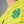 Cargar imagen en el visor de la galería, Celtic FC 24/25 Away Jersey - Soccer90
