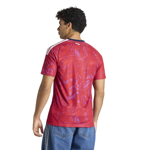 Costa Rica 26 Home Replica Jersey - Soccer90