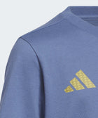 FIFA World Cup 26 Argentina Home Graphic Tee Junior - Soccer90