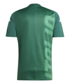 Italy 2024 Pre Match Jersey - Soccer90