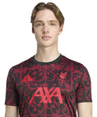 Liverpool FC 25/26 Pre Match Jersey - Soccer90