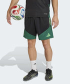Mexico 26 Tiro Training Shorts - Soccer90