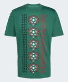 Mexico DNA T-Shirt - Soccer90