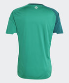 Northern Ireland 26 Home Jersey - Soccer90