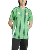 Nothern Ireland 24 Home Jersey - Soccer90