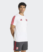 Peru DNA T-Shirt - Soccer90