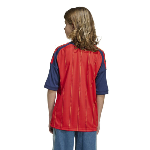 Spain 26 Home Kids Jersey - Soccer90