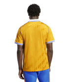 Tigres Anniversary Jersey - Soccer90