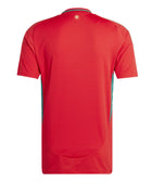 Wales 24 Home Jersey - Soccer90