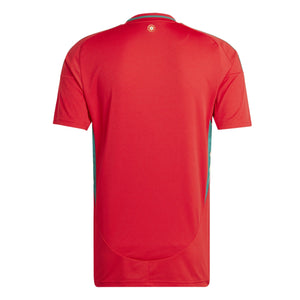 Wales 24 Home Jersey - Soccer90