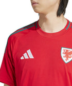 Wales 24 Home Jersey - Soccer90