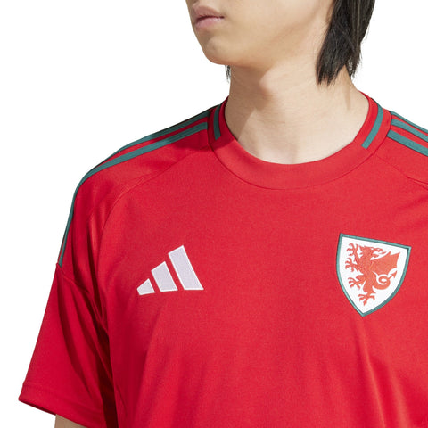 Wales 24 Home Jersey - Soccer90