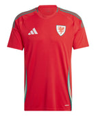 Wales 24 Home Jersey - Soccer90