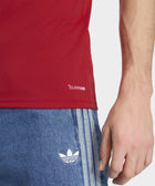 Wales 26 Home Replica Jersey - Soccer90