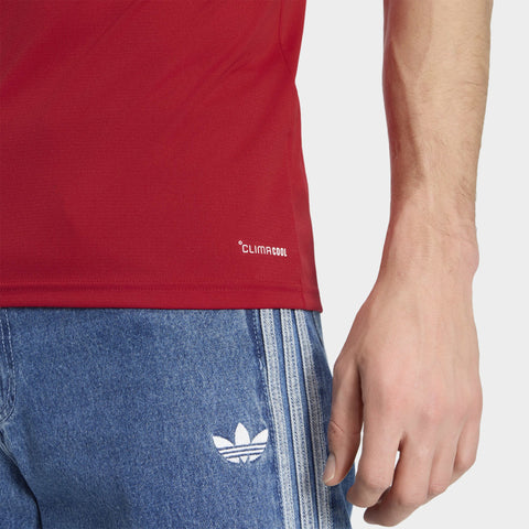 Wales 26 Home Replica Jersey - Soccer90