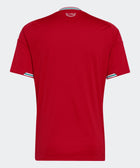 Wales 26 Home Replica Jersey - Soccer90