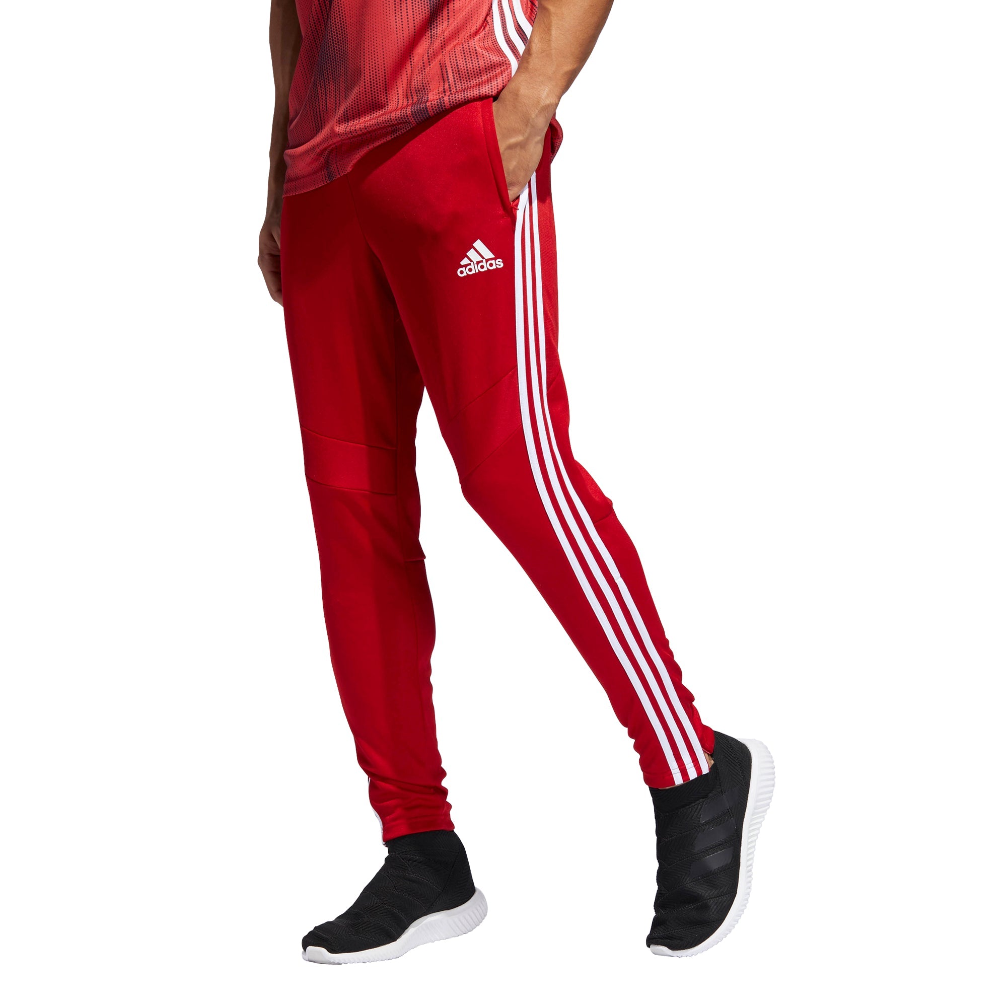 Women's adidas shop tiro 19 pants