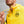 Load image into Gallery viewer, Borussia Dortmund Anthem Jacket - Soccer90
