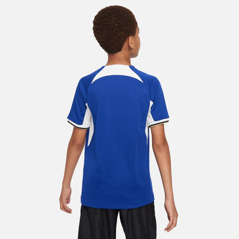 Chelsea FC 2023/24 Stadium Home Big Kids' Nike Dri-FIT Soccer Jersey - Soccer90